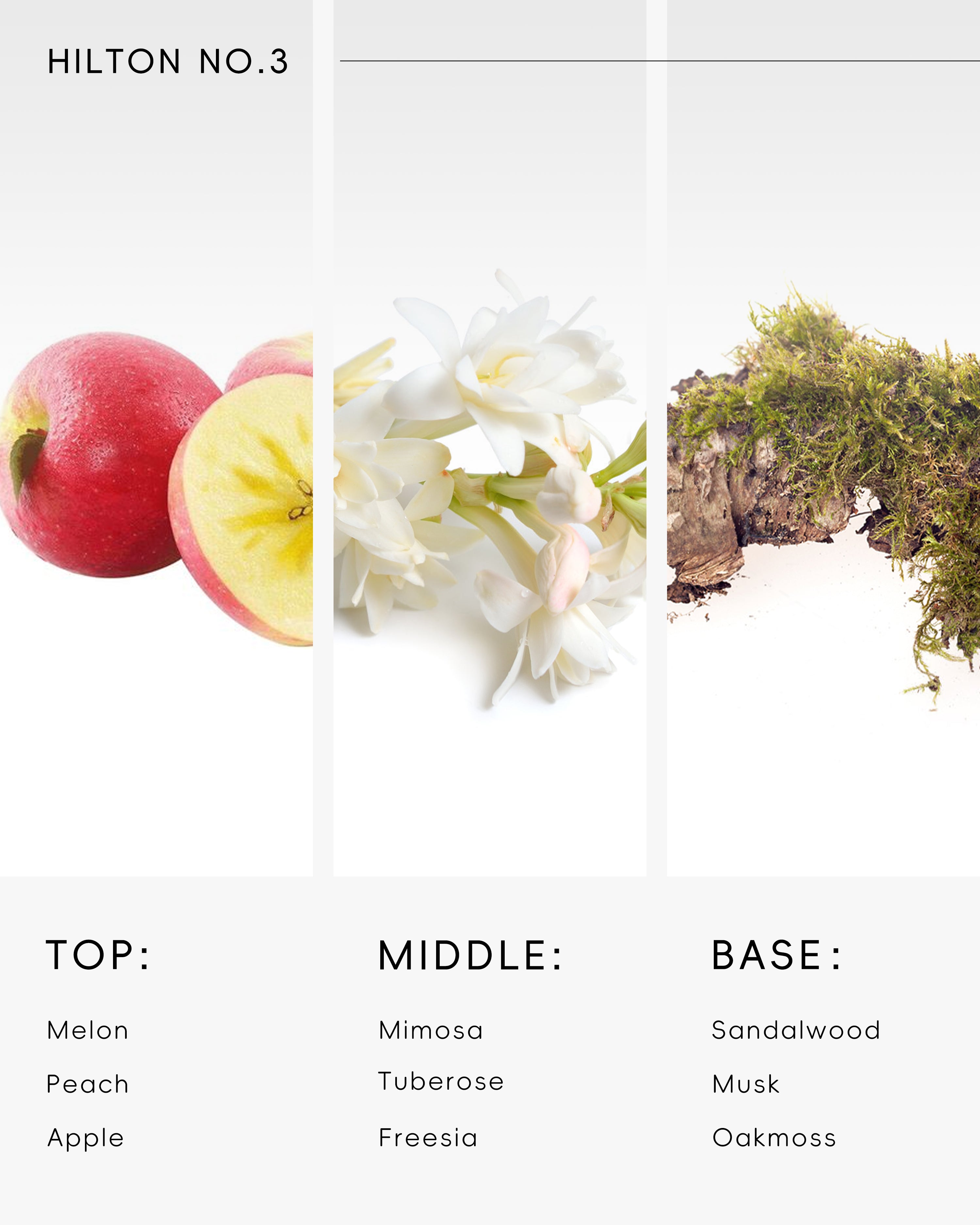 Hotel Diffuser Oil Inspired by Hilton Scent