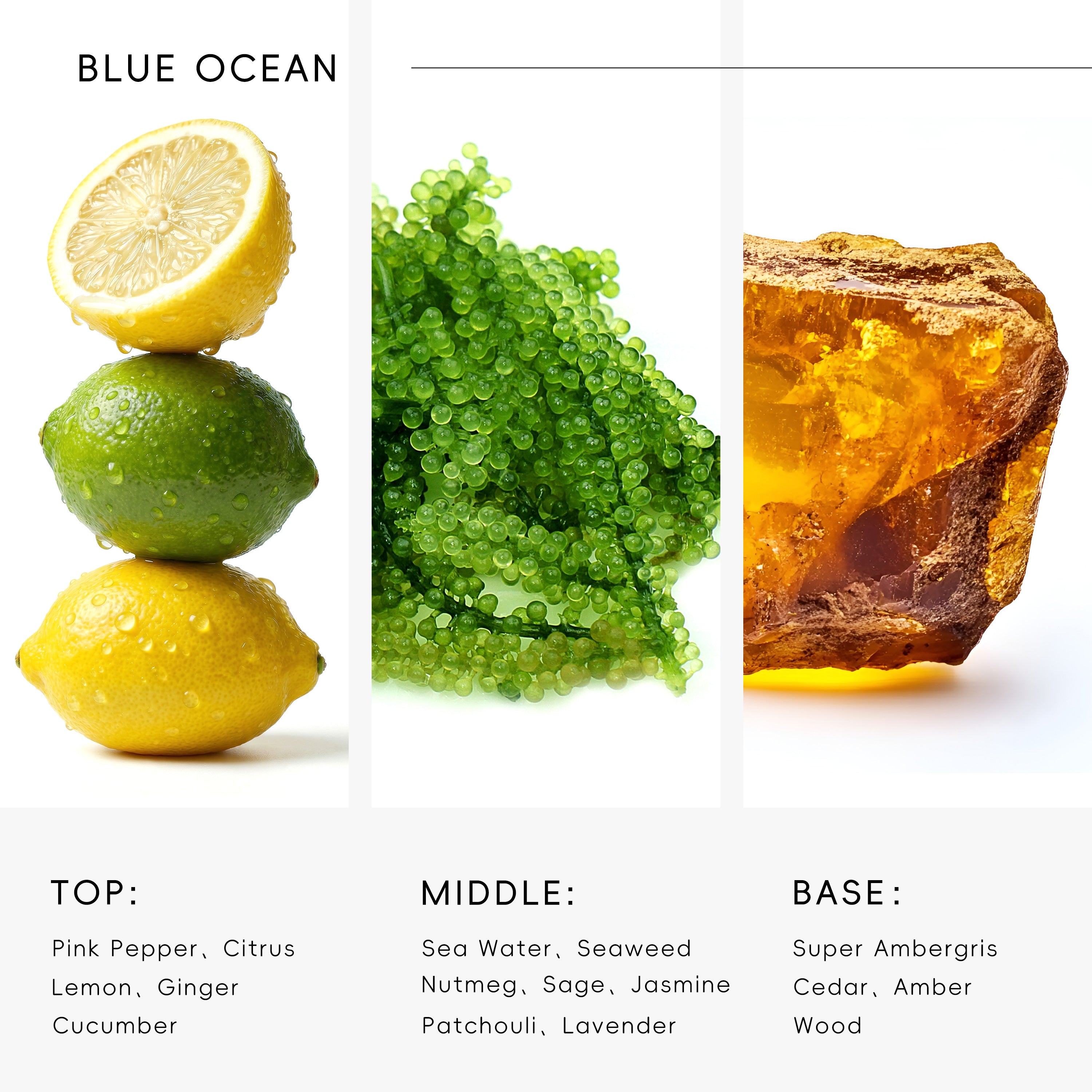 Essential Oil Inspired by Blue Ocean - AROMASOUL