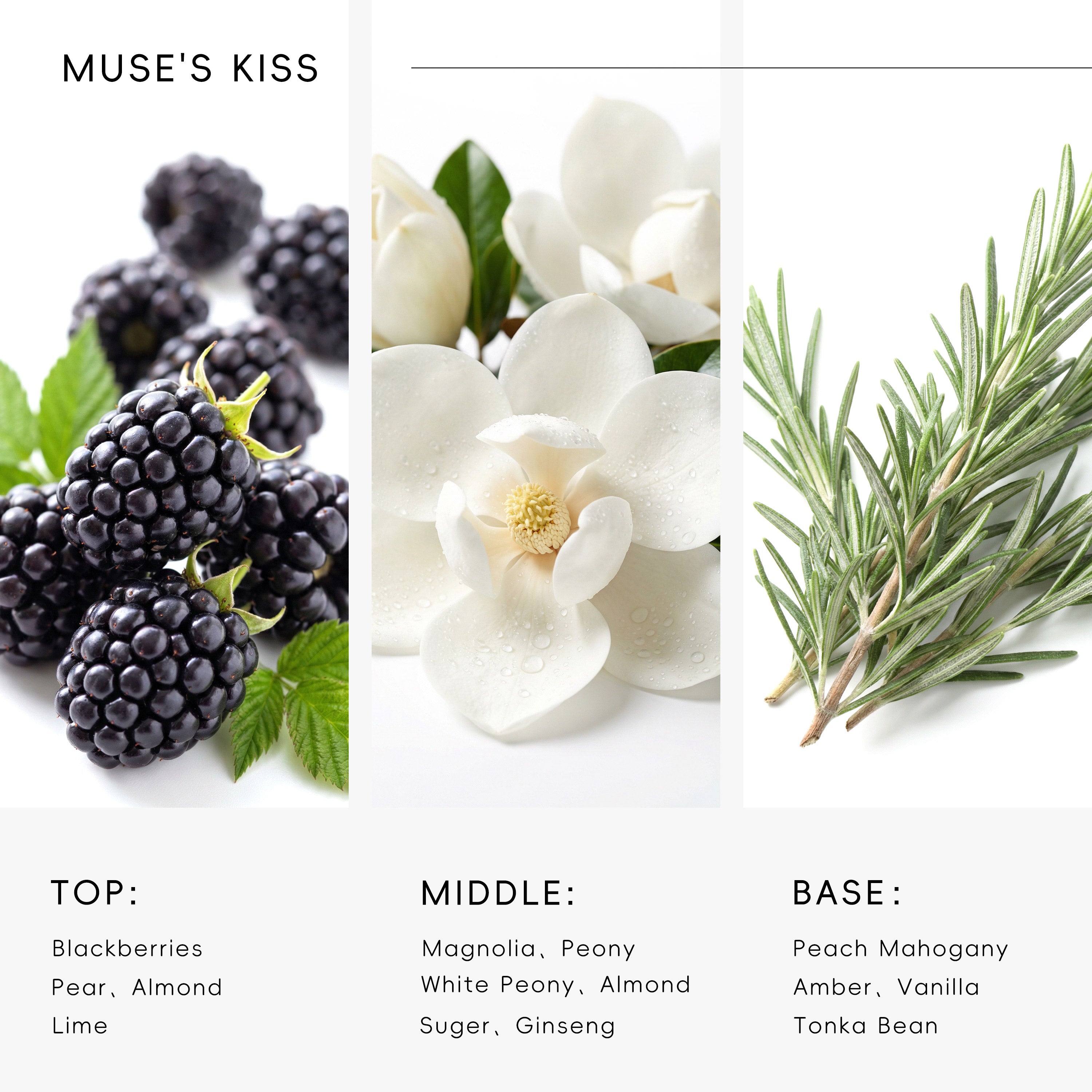 Essential Oil Inspired by Muse's Kiss Essential - AROMASOUL
