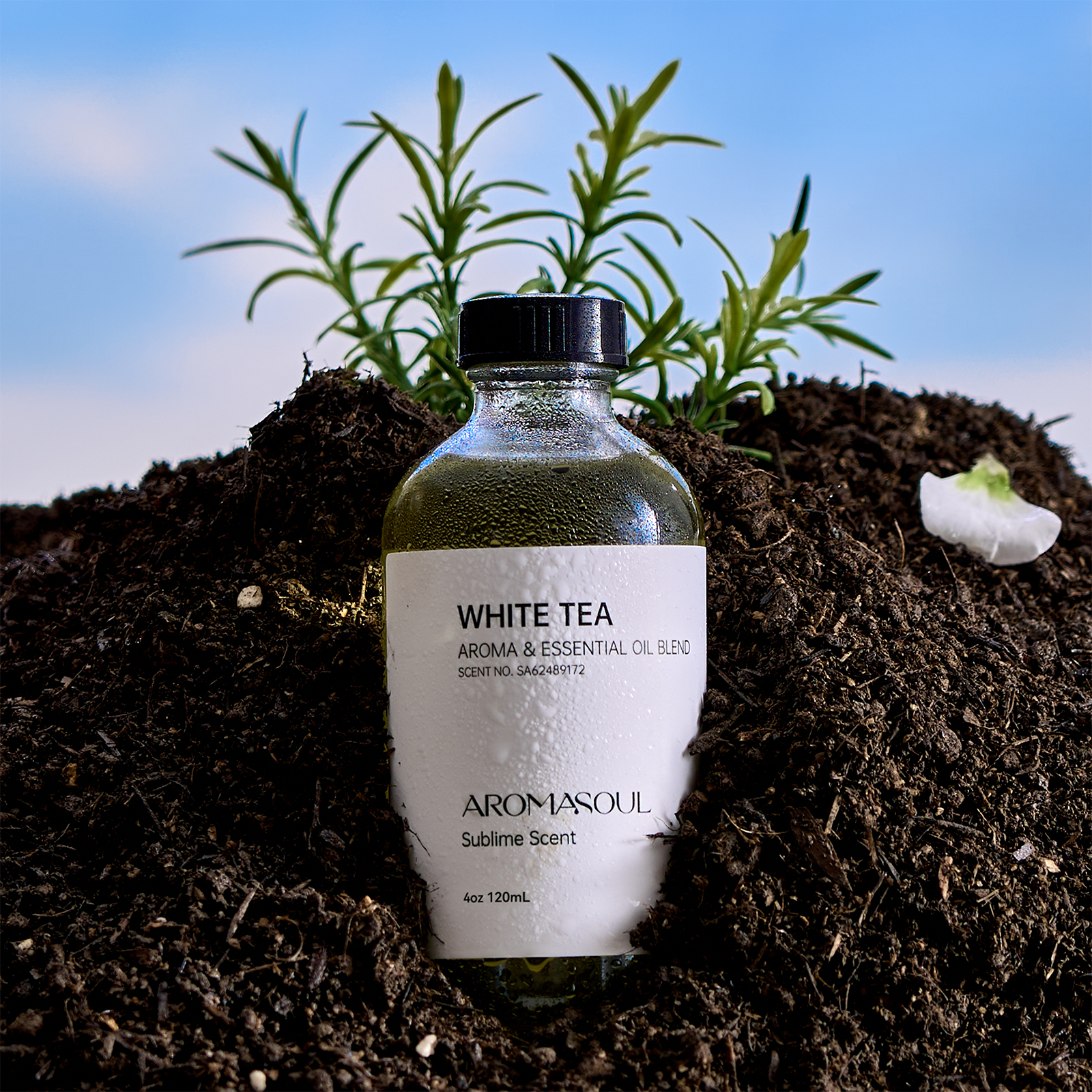Hotel Diffuser Oil Inspired by Ritz-Carlton Scent - Premium Fragrance Oil for Ultrasonic and Waterless Diffuser - 120 mL, 4 fl oz