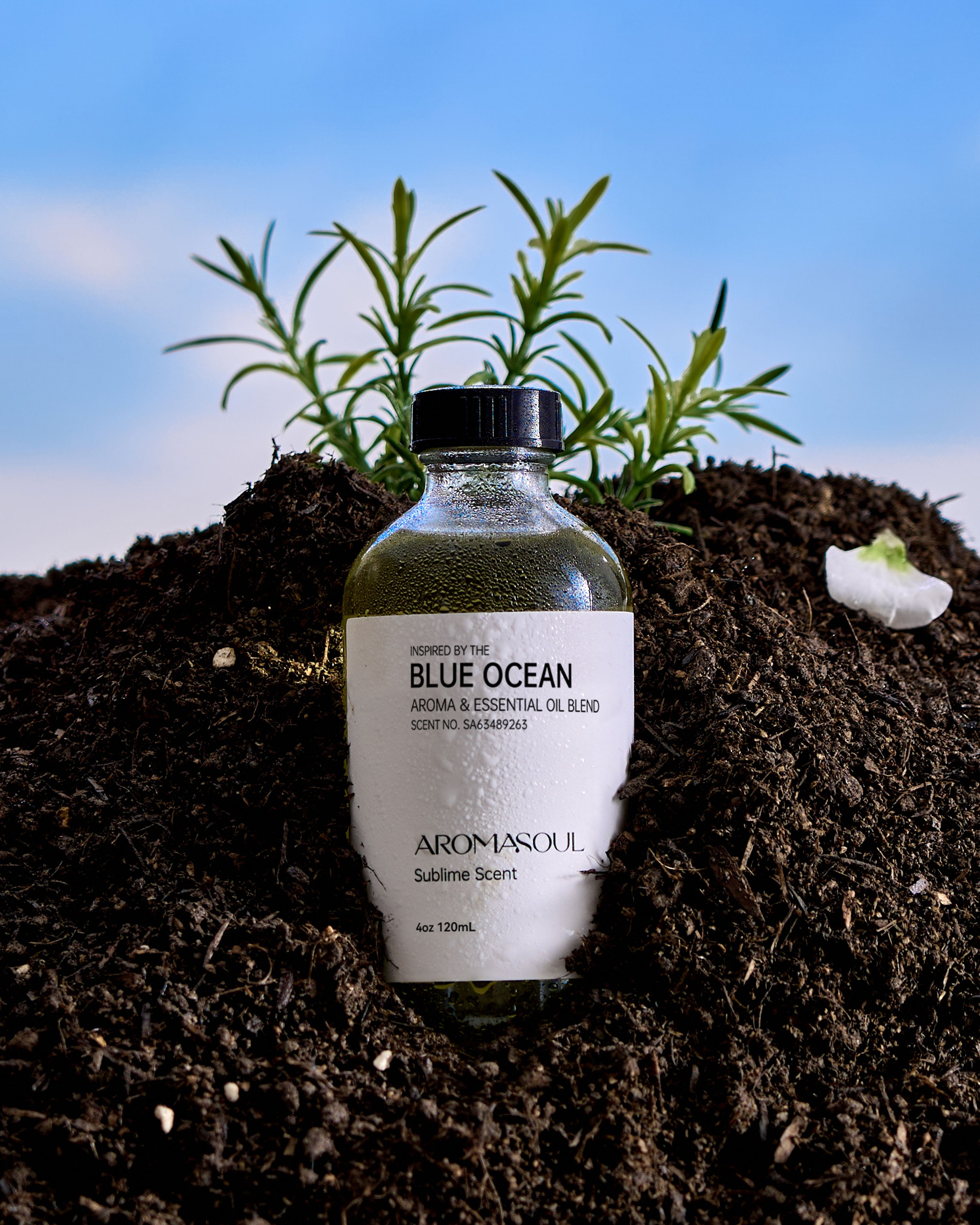 Essential Oil Inspired by Blue Ocean - AROMASOUL