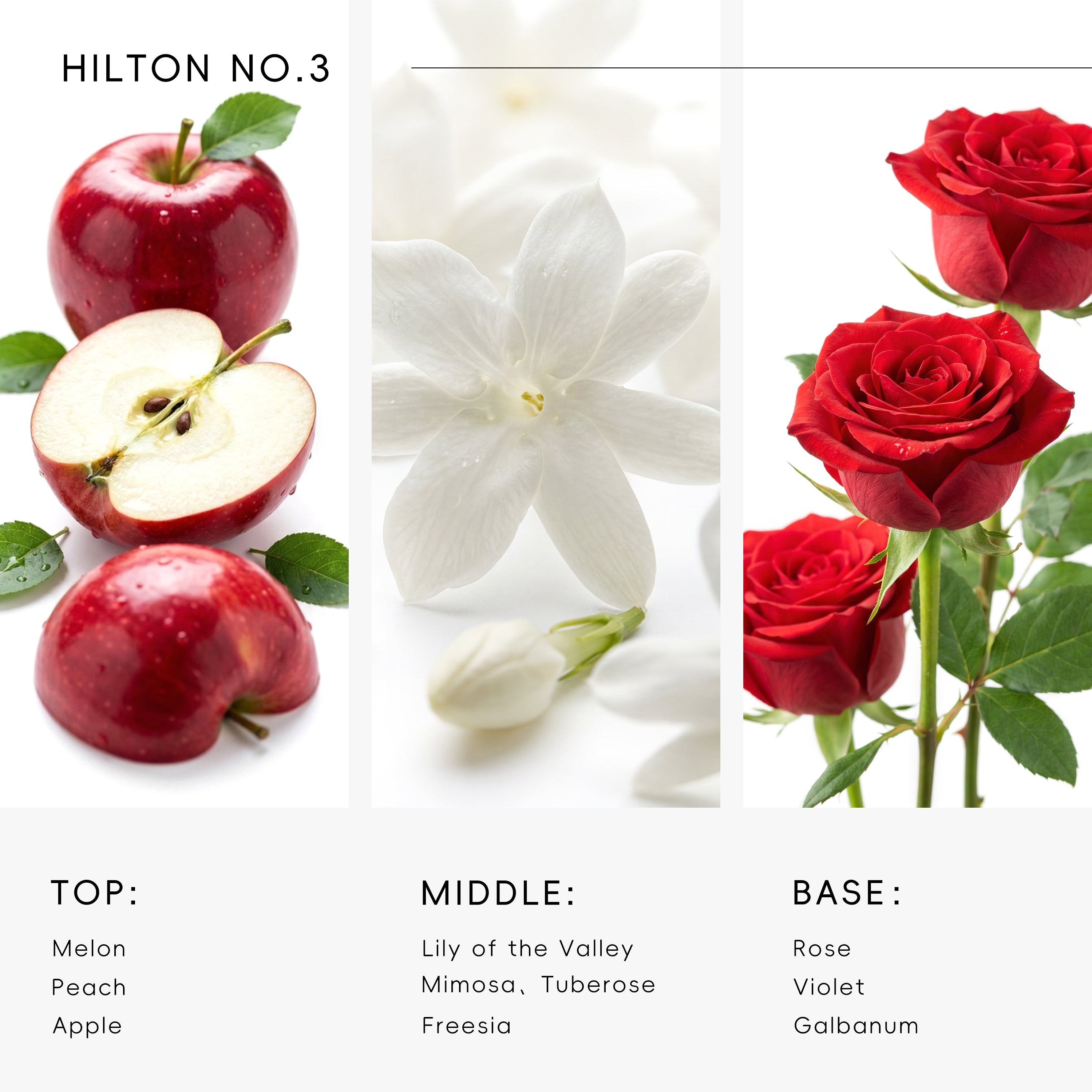 Hotel Diffuser Oil Inspired by The Hilton No.3 Scent - AROMASOUL