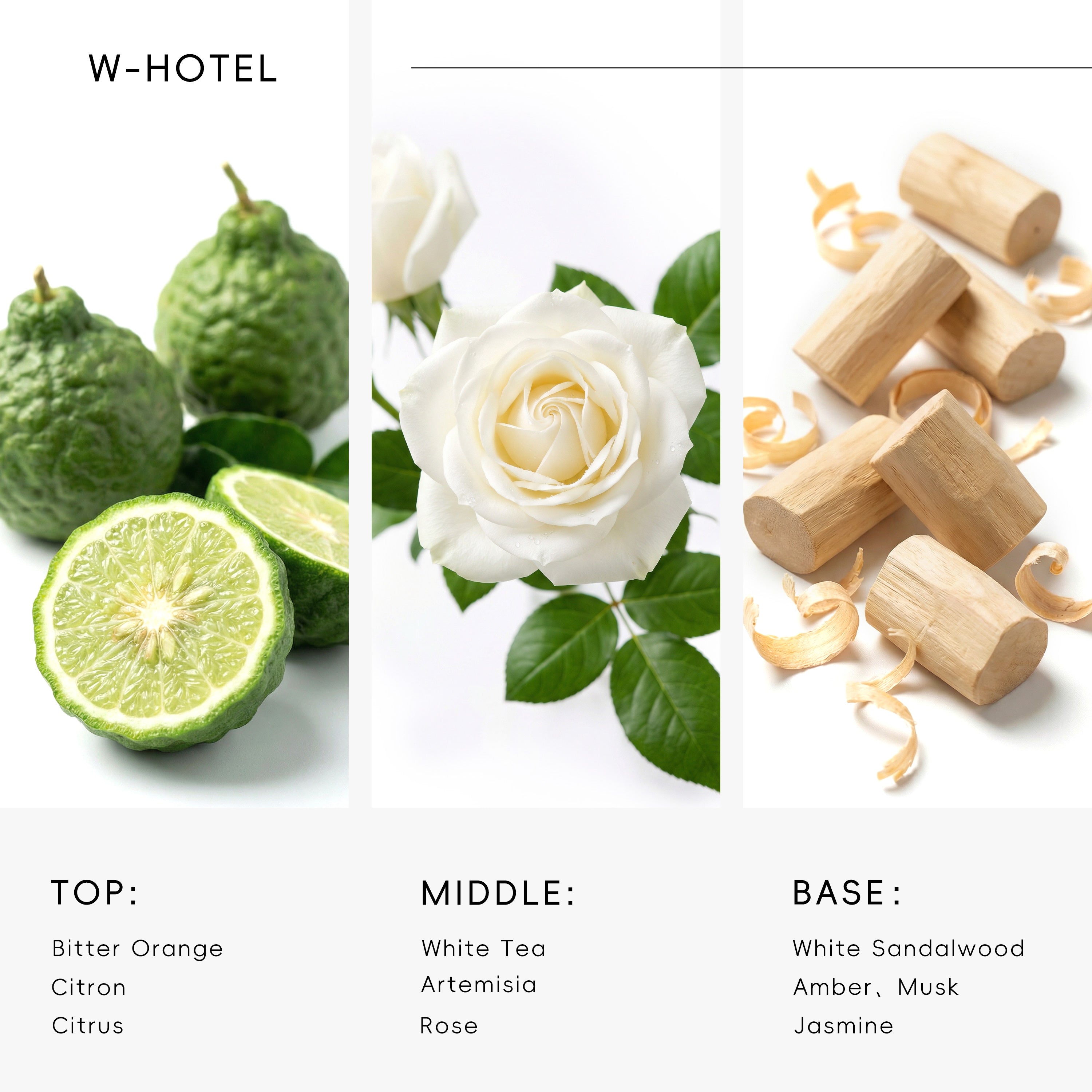 Essential Oil Inspired by W-Hotel - AROMASOUL